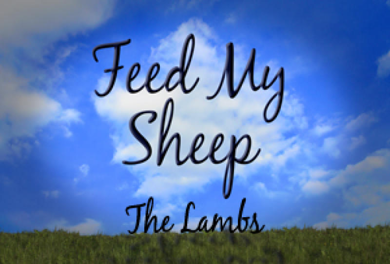 Time of Grace Feed My Sheep The Lambs